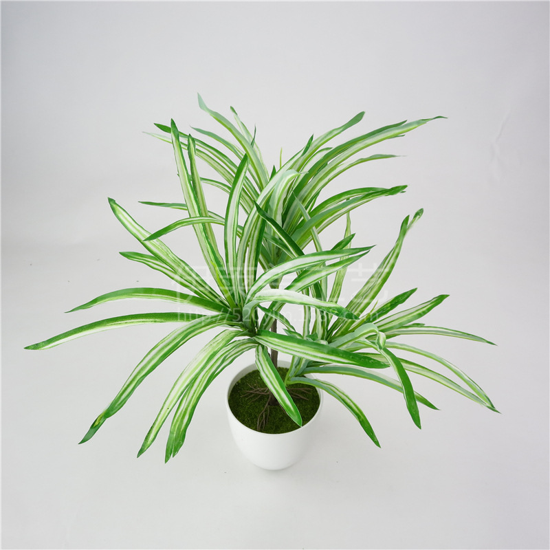 仿真植物3叉白叶兰草 把束假花仿真花艺园林绿化工程配材盆景绿植