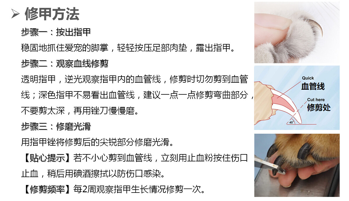 酷迪kudi宠物指甲钳小号/狗指甲剪/狗剪kd030 厂家发货 正品保障