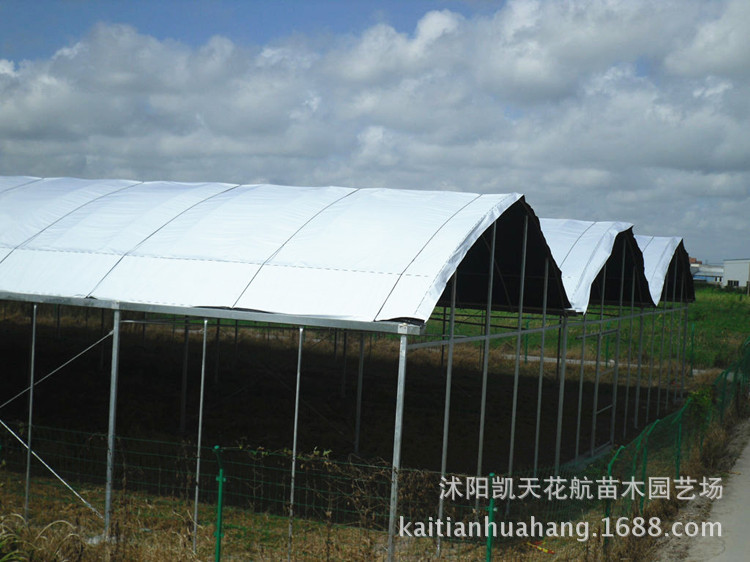 大棚膜 农膜遮阳膜 养殖黑白膜 食用菌大棚进口黑白防晒膜 12S丝