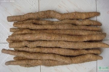 山药和牛蒡有什么区别怎样才能发挥它们优势