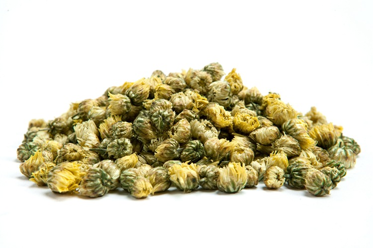 招商 桐乡胎菊批发 优质花草茶 菊花茶厂家批发 头采杭白菊花蕾胎菊王