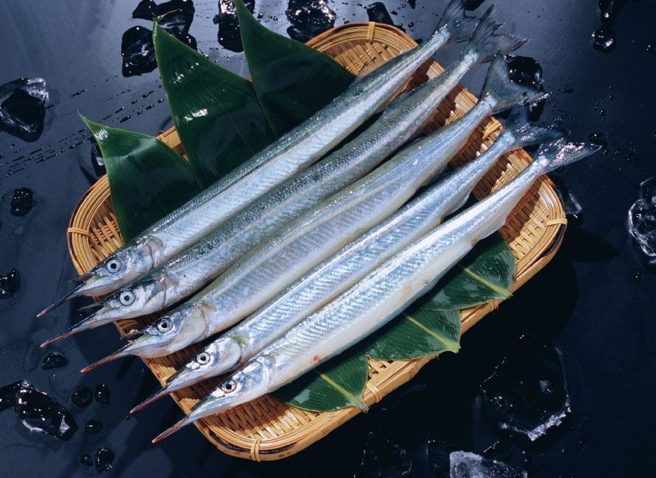 厦门鑫宏利达 批发多春鱼 秋刀鱼 东山海鲜 冷冻肉制品 酒.