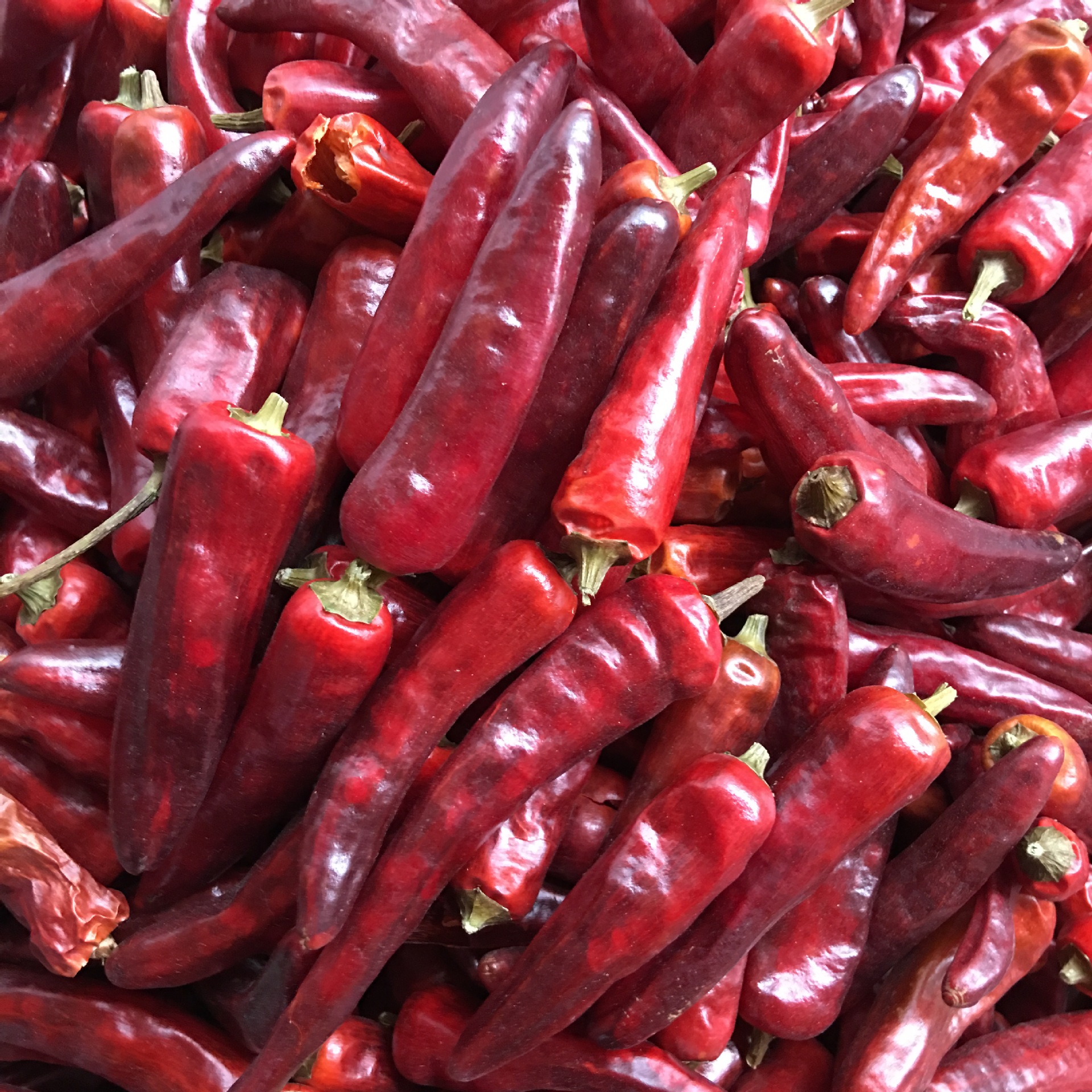 批发重庆石柱红干辣椒 特香特辣的海椒中餐火锅麻辣烫辣椒500克袋