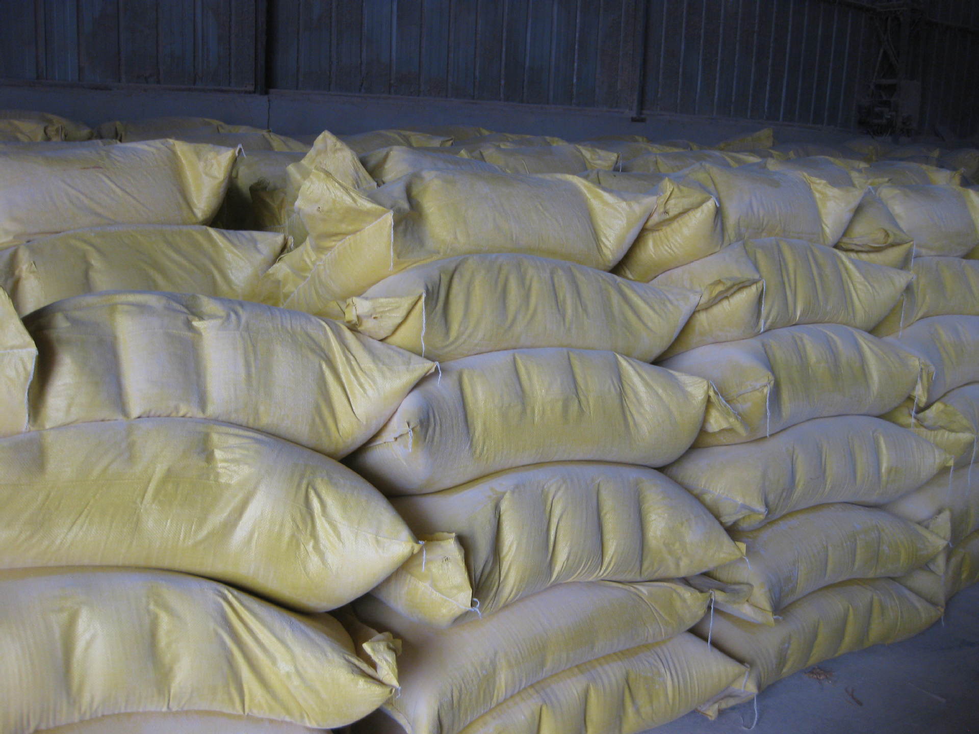 特价供应60-120目木塑专用杨木粉