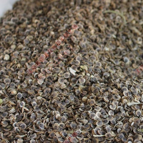 蜀葵种子庭院花园景观工程混色花种子