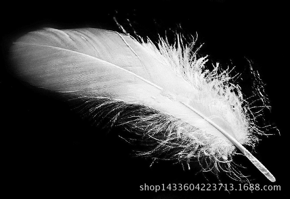 厂家直售婚庆场景布置鹅毛硬管飘彩色饰品配件填充羽毛拍摄道具