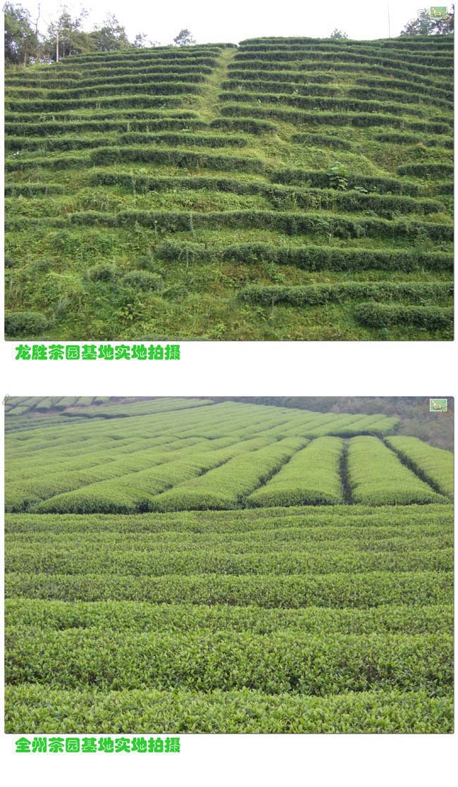 02年产 湖北省赵李桥茶厂 青砖茶(2kg)