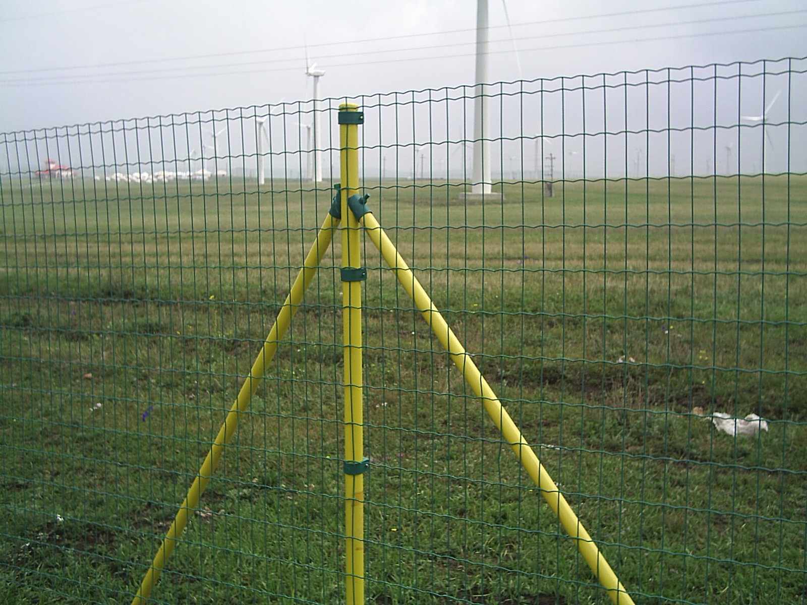 12m高pvc电焊荷兰网浸塑电焊网养鸡养鸭隔离防护网现货