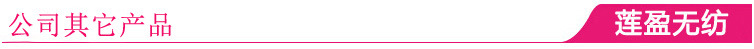 公司其它产品
