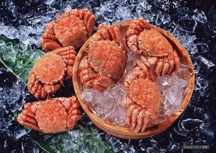 北海道红毛蟹 毛蟹 整只冷冻 冰鲜水产 极速低温冷冻