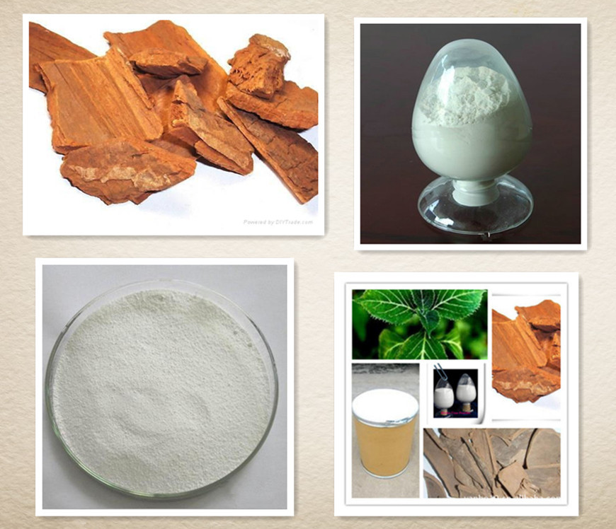 育亨宾提取物 盐酸育亨宾98% 专业生产 厂家直供