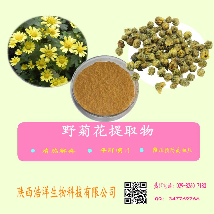 野菊花提取物