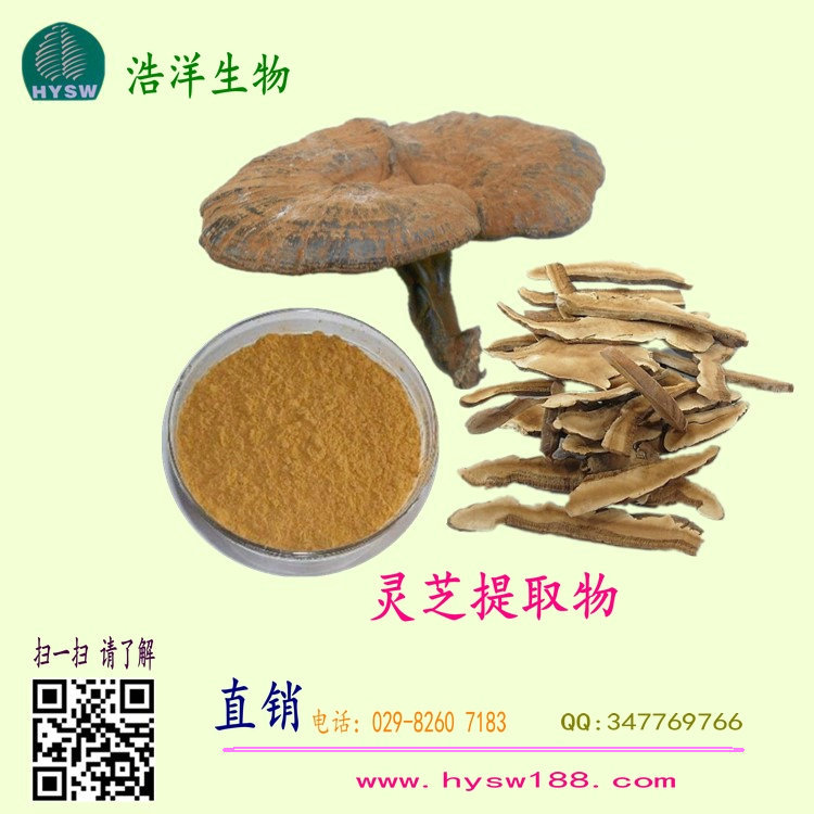 灵芝提取物