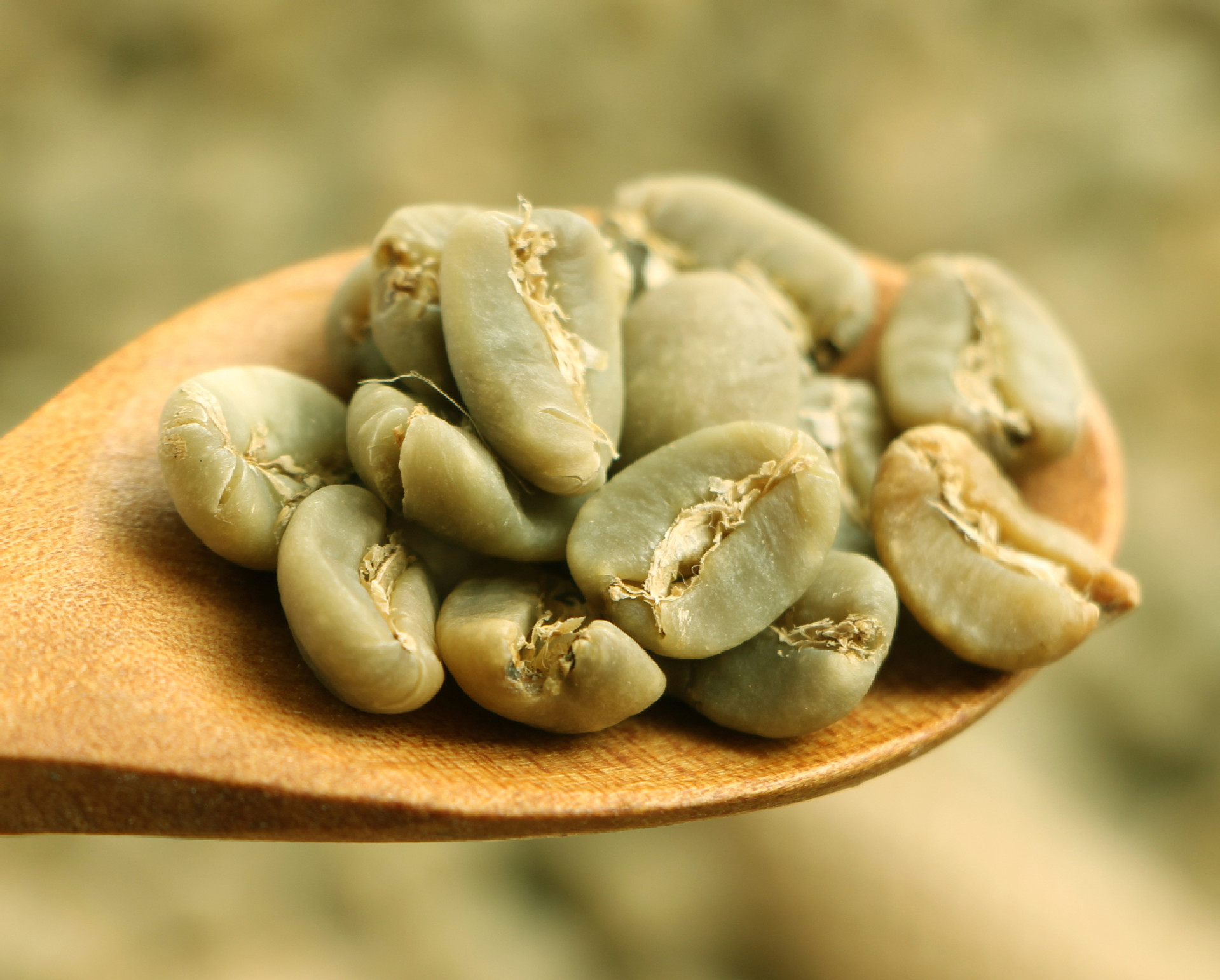 正宗印度尼西亚苏门答腊黄金曼特宁生豆 1