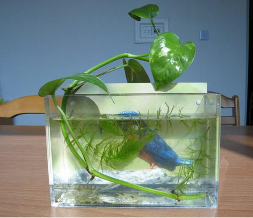 QQ图片20151204101217_副本