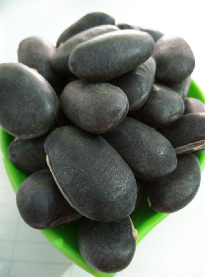 安国富达药材行批发零售 黑刀豆 红刀豆 白刀豆