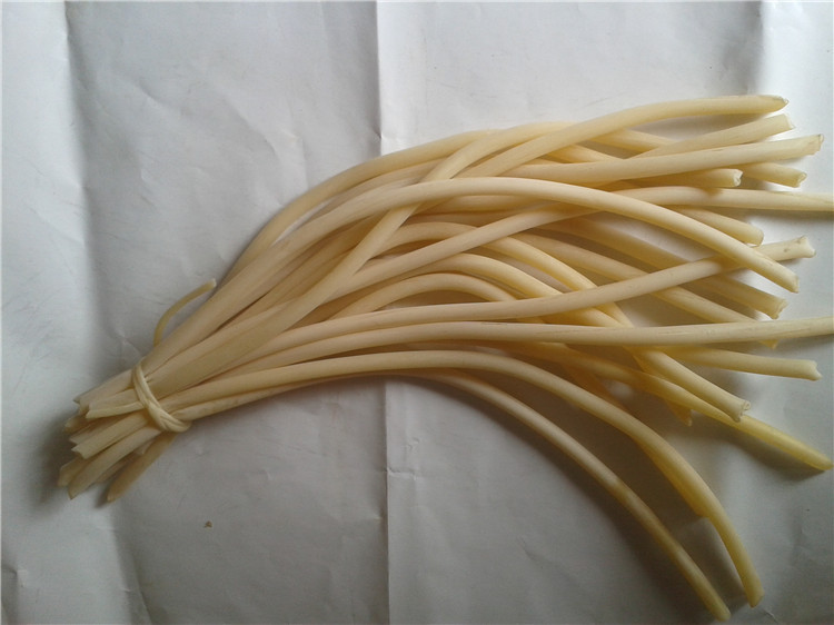 批发彩色气门芯山地车气门芯弹弓拉带合成乳胶气门芯彩色拉黑色