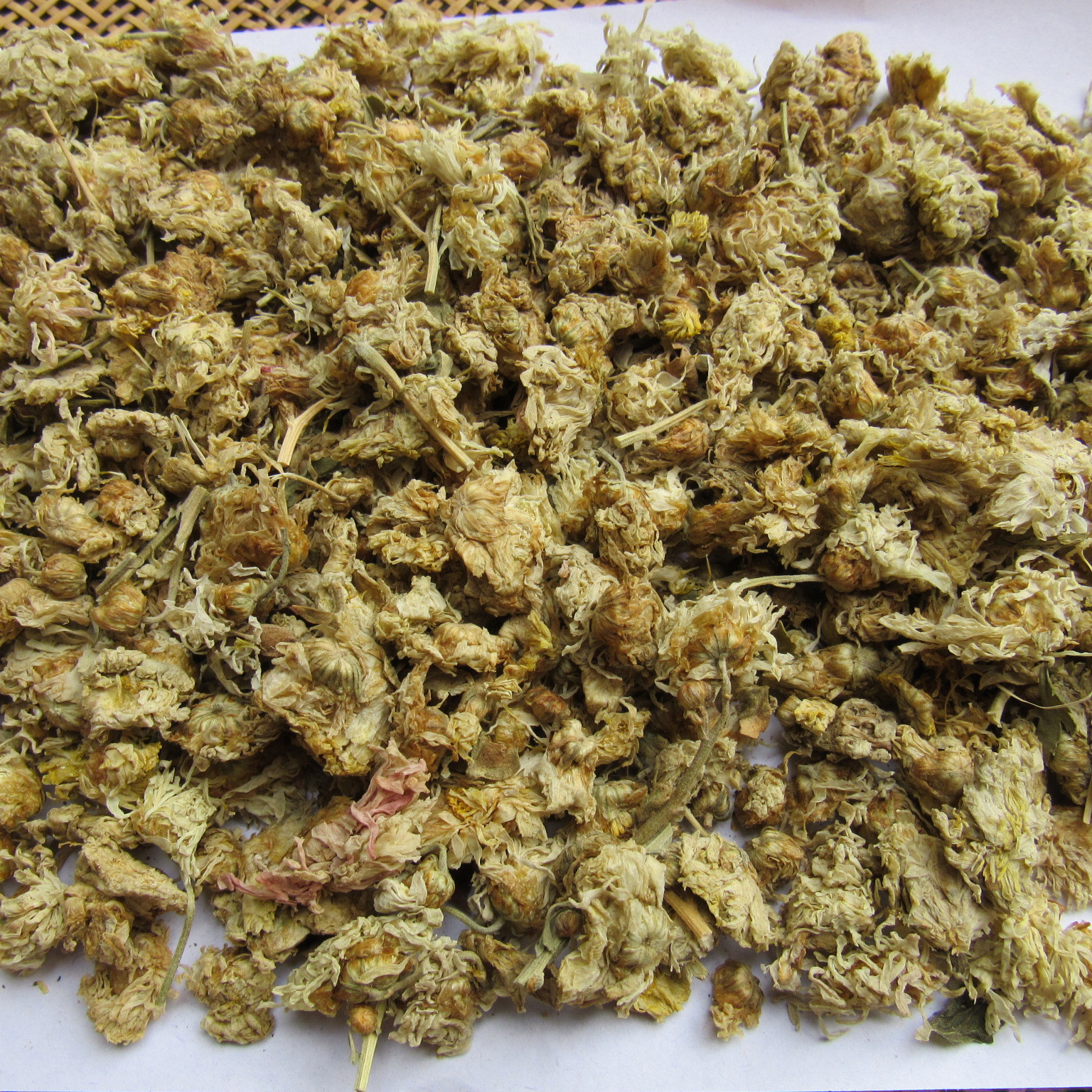 批发中药材白菊花药用白菊花2016年新货