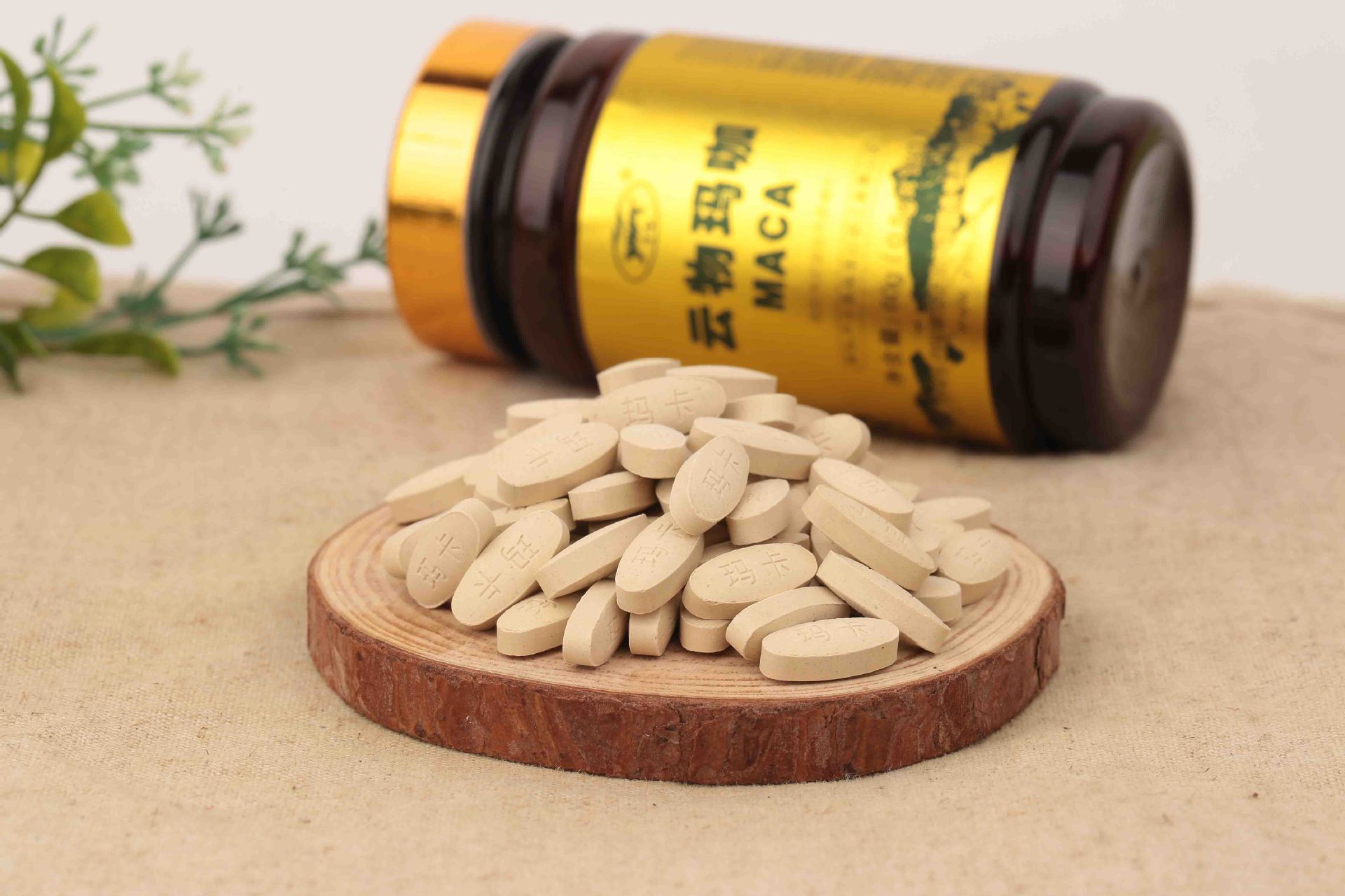 养生保健提升精力食品 云南特产超微破壁金玛卡玛咖精片批发