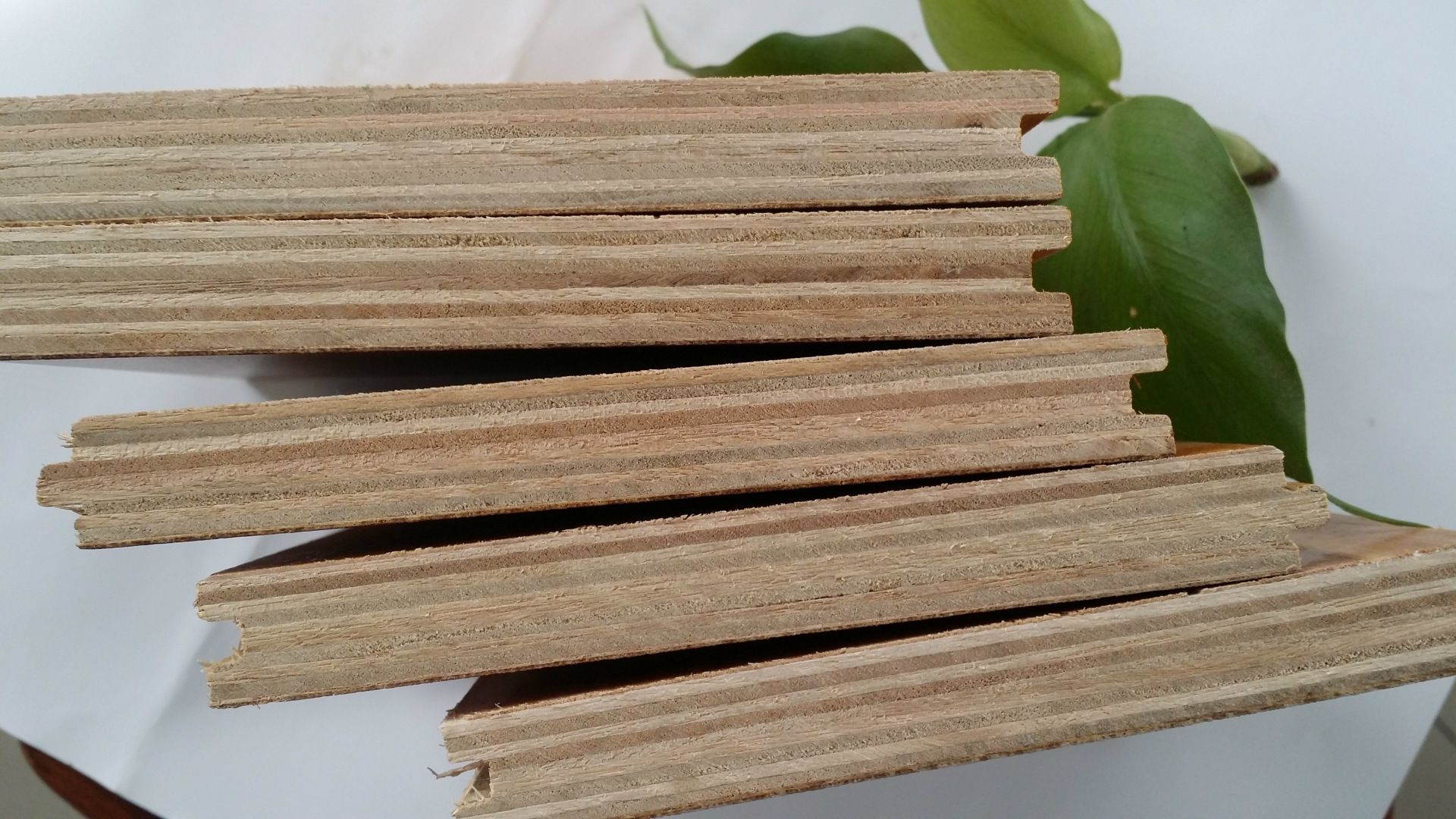 样品专拍室内实木地板 多层实木复合地板 强化复合地板 厂家直销