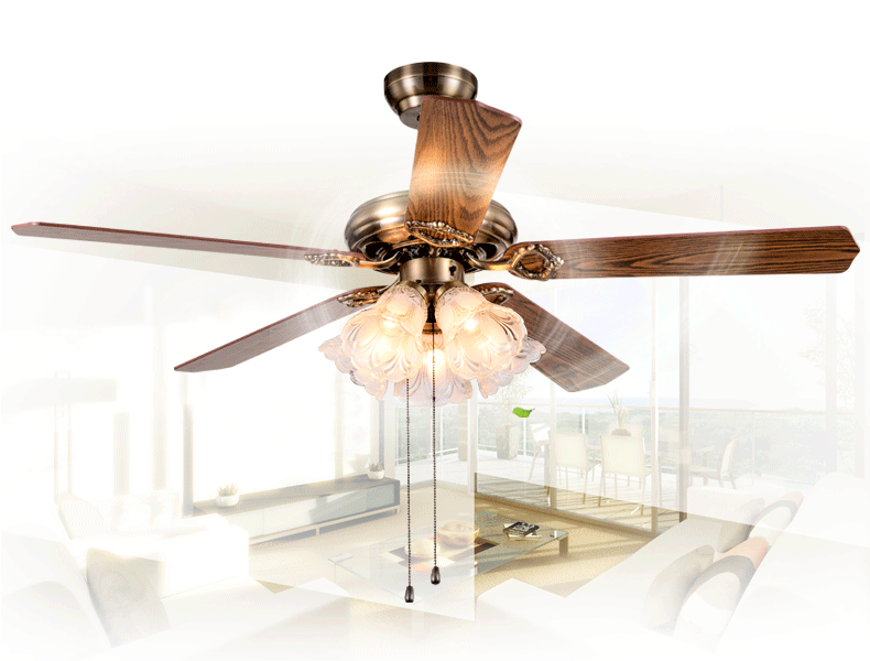 790_600 gif 动态图 动图