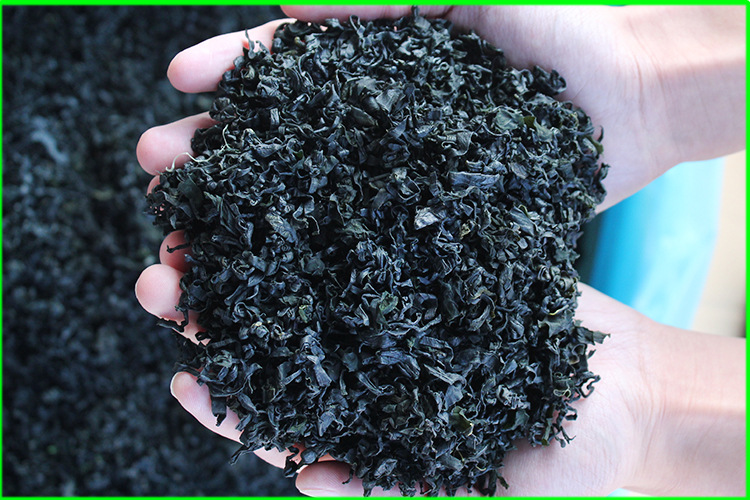 厂家批发散装螺旋藻 烘干裙带菜批发