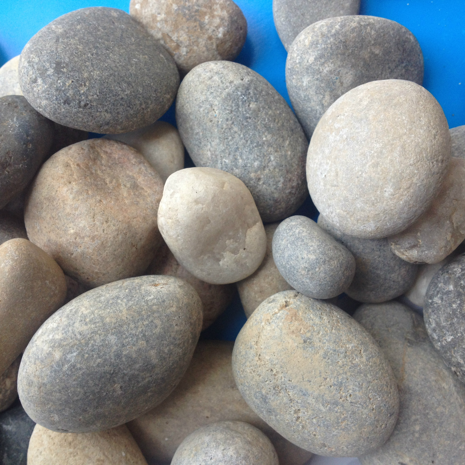 大量供应 鹅卵石 天然河卵石 机制鹅卵石 多种颜色 园林建设用