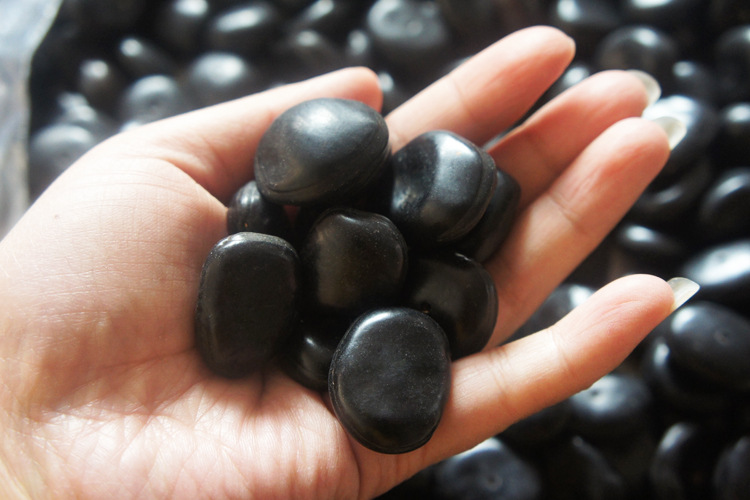 批发精品天然木鱼果菩提子 黑木鱼果散珠车挂配饰原籽