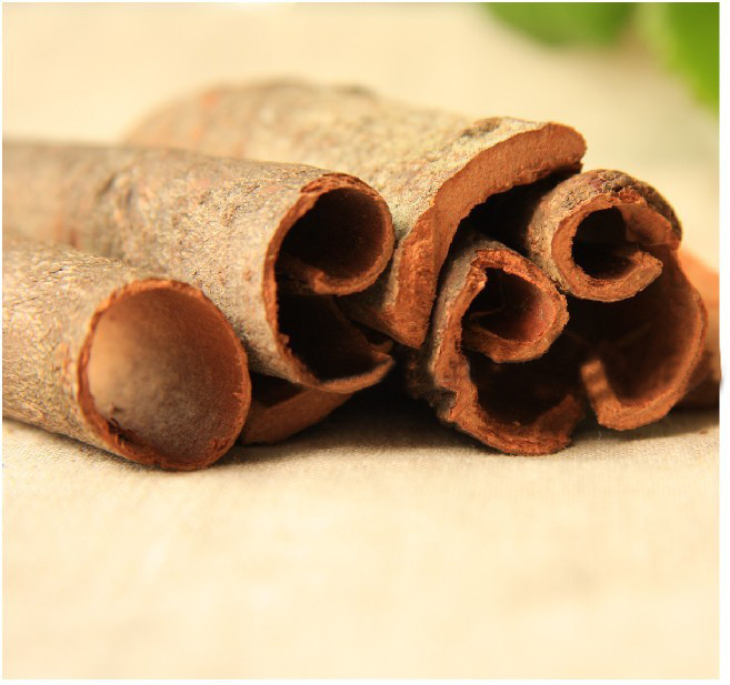 供应 桂皮 肉桂 调味香料