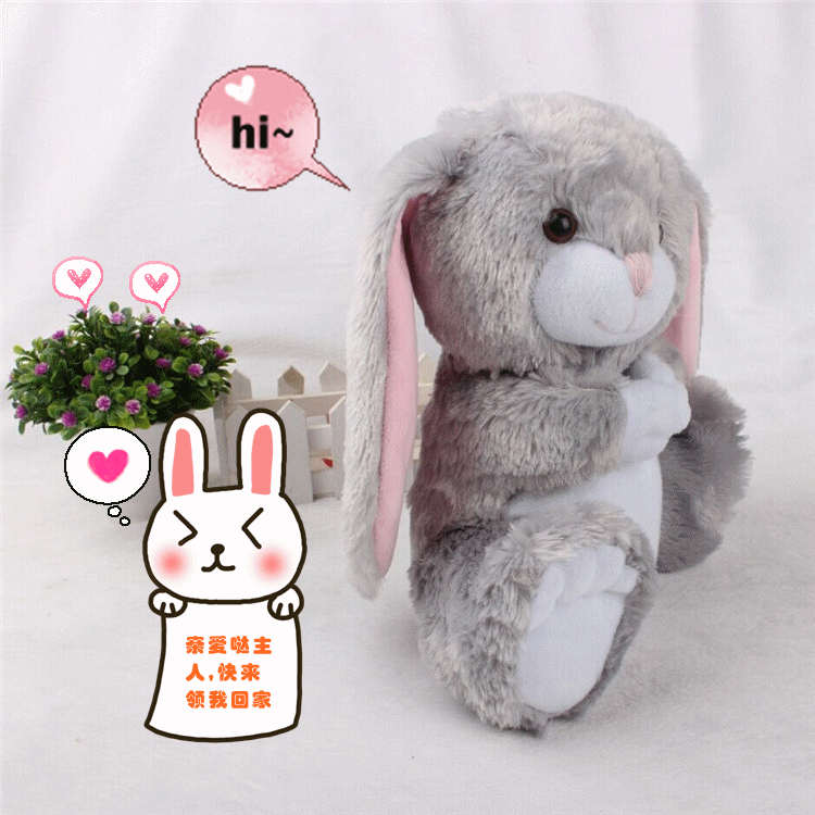 毛绒玩具 玩偶 750_750 gif 动态图 动图