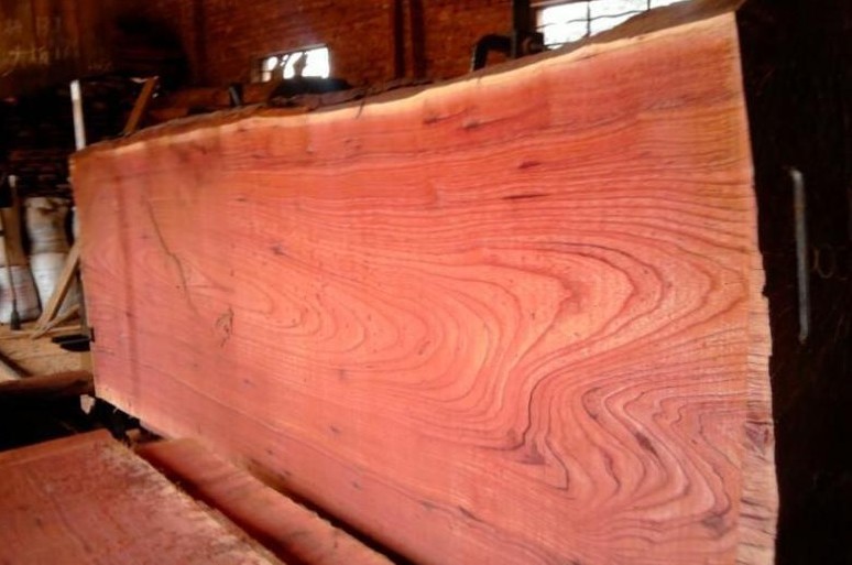 定制板材(河南红椿木)实木烘干板材厂家批量生产加工家具拼板