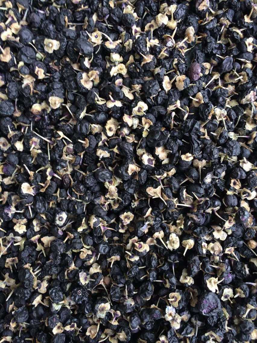 新疆特产野生黑枸杞子 一件代发 特级野生黑果枸杞50g/罐全国包邮