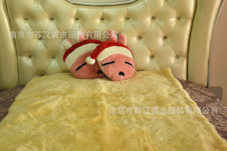 澳大利亚进口羊皮毛床垫 柔软丝滑皮毛一体床褥子 被褥 褥子 