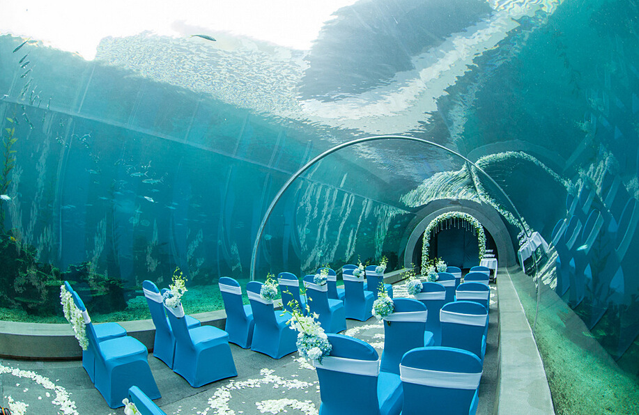 昆明的海底婚礼亮点&mdash;海巢海洋馆