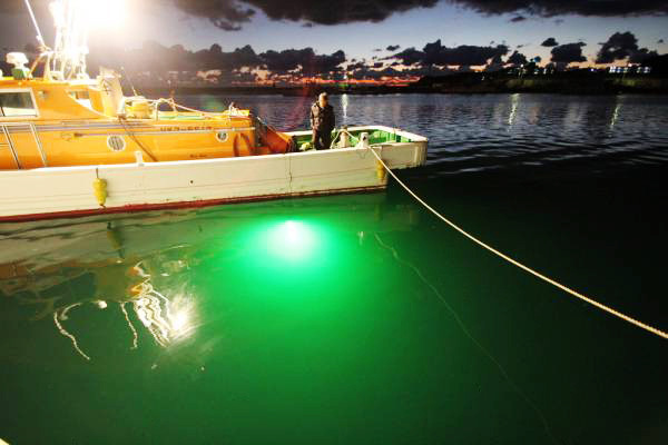 【现货供应】1000wled集鱼灯1500w引鱼灯绿光 蓝光led水下聚鱼灯