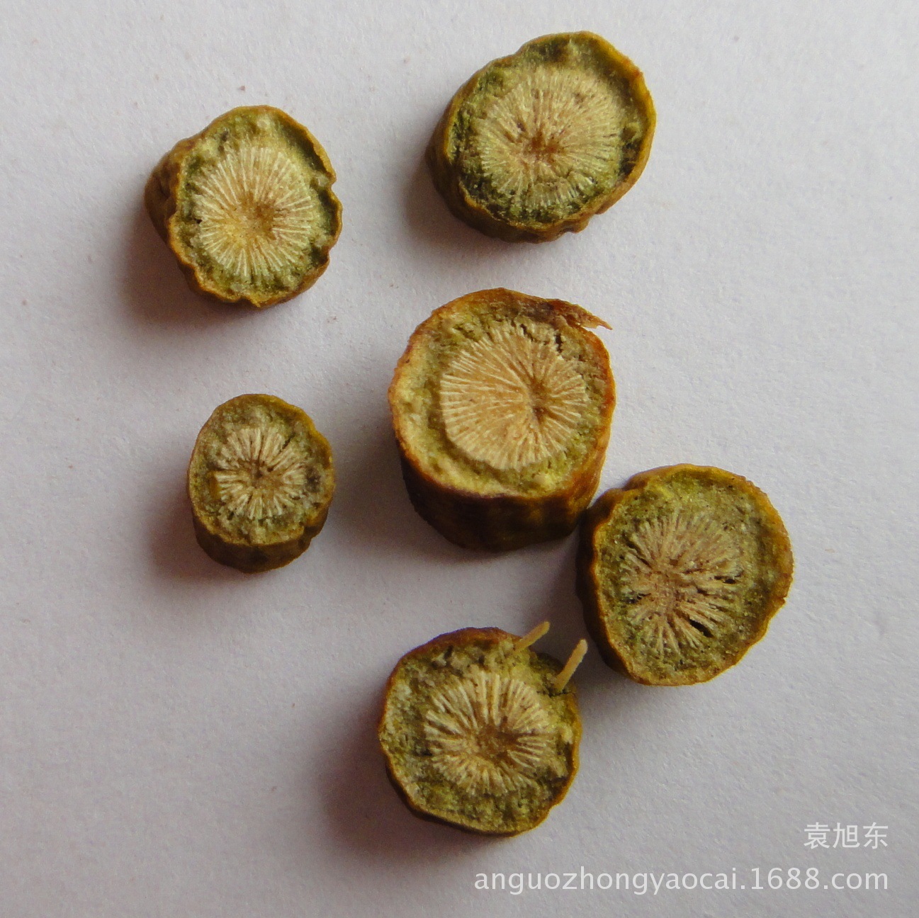 供应中药材 植物原药材槲寄生 寄生 干净无杂 品质保证