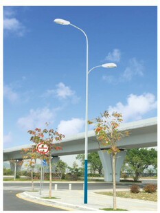 杆双臂路灯