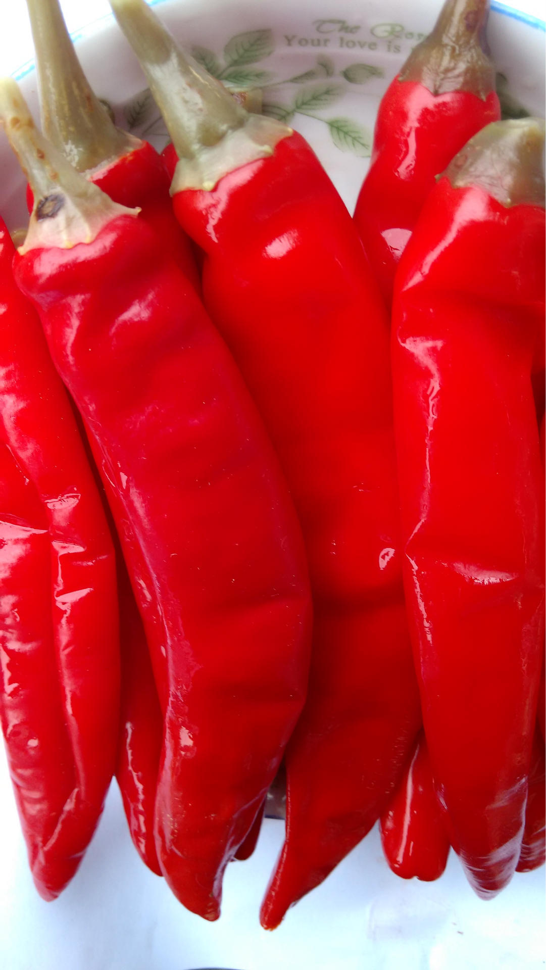 四川特产泡椒老坛泡红美人椒红辣椒泡红椒泡菜酱腌菜散装批发