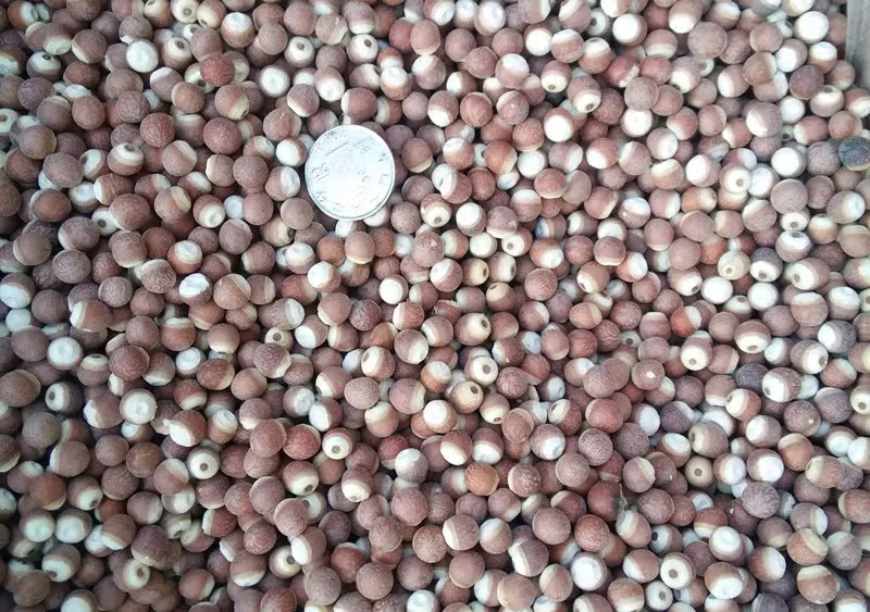 长期供应无硫芡实米鸡头米芡实米批发中药材红芡实