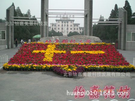 供应北京大兴基地草花批发五一国庆花坛立体五色草组字花坛