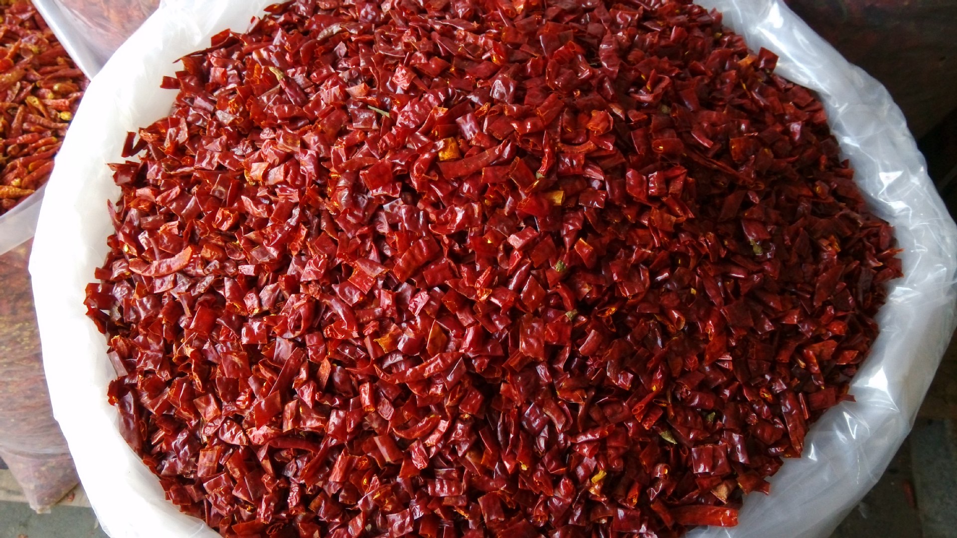 无籽印度特辣椒王段