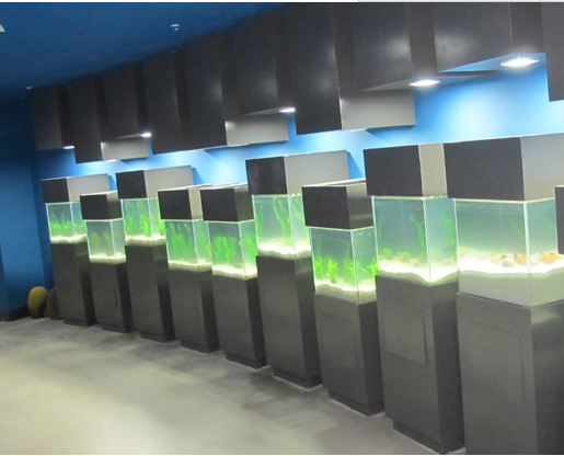 QQ图片20151204101016