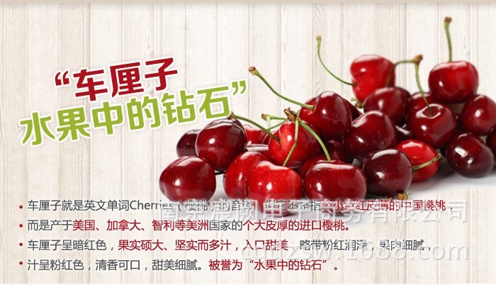年货休闲零食品无核樱桃干车厘子 厂家特价批发 200g袋装一件代发