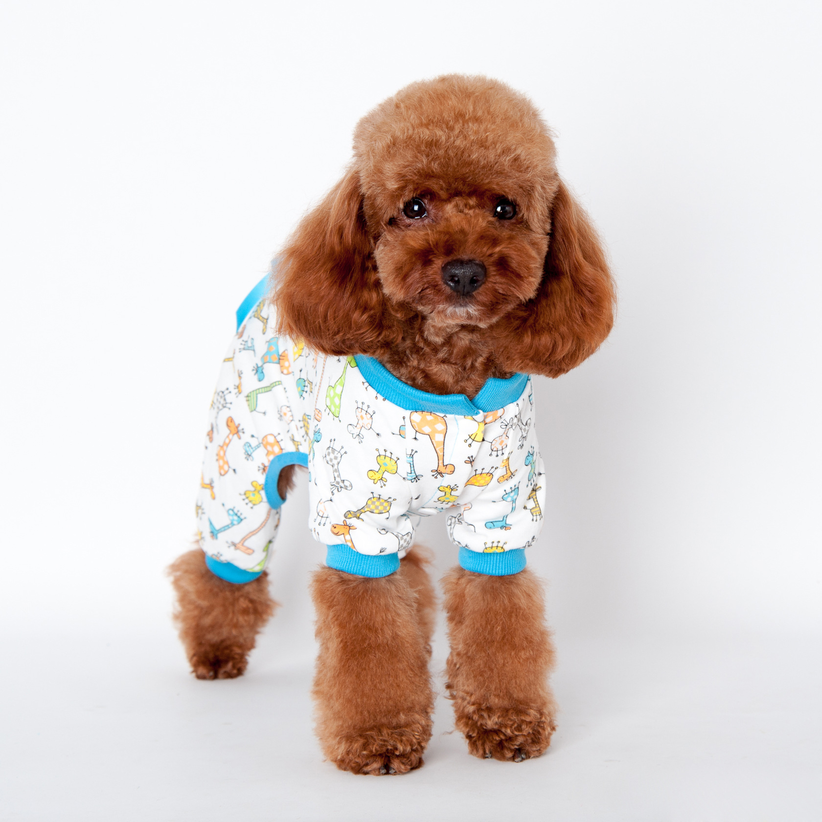 宠物衣服外贸新款 家居服 狗狗四脚衣纯棉印花泰迪衣服