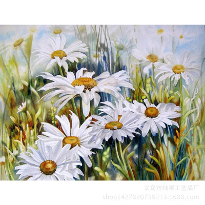 东方画库树脂画diy钻石画批发圆钻满钻水彩雏菊b免烫圆钻/方钻