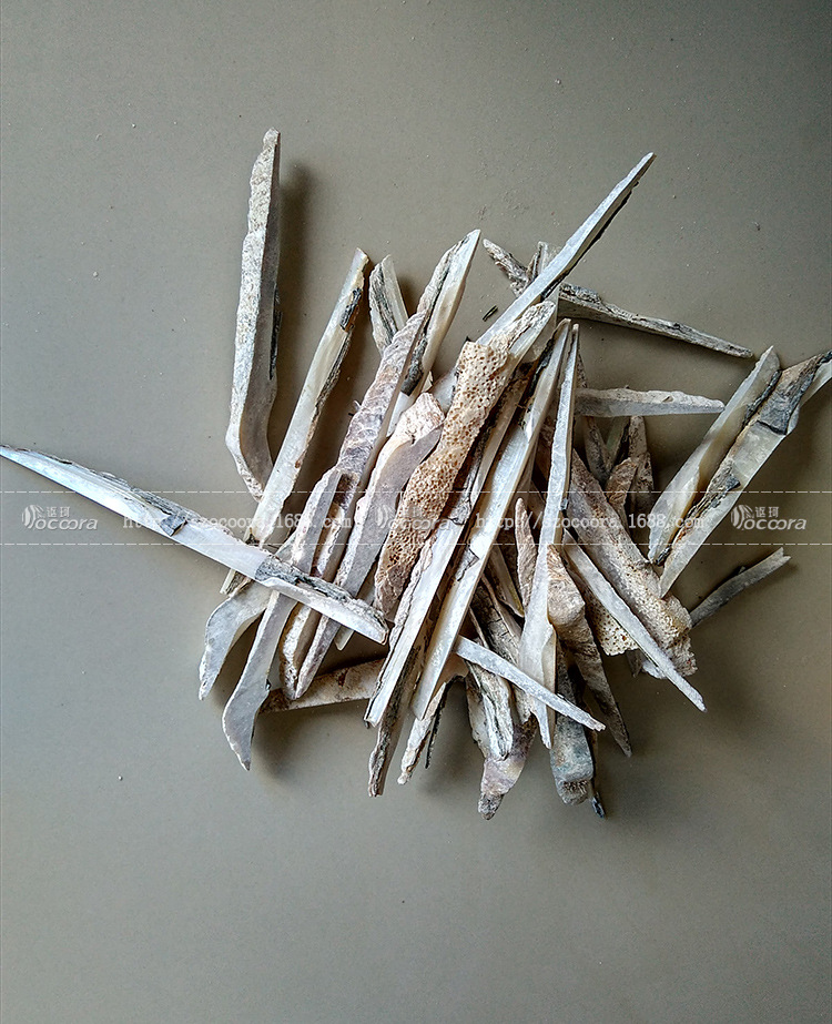 深圳厂家大量供应天然海竹原材料 海竹头料