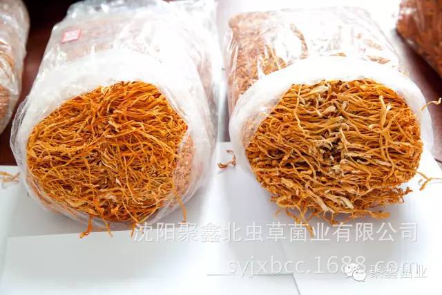 好好的北虫草为何要熏硫磺?