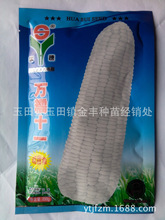 唐山玉米价格_今日最新唐山玉米价格行情走势