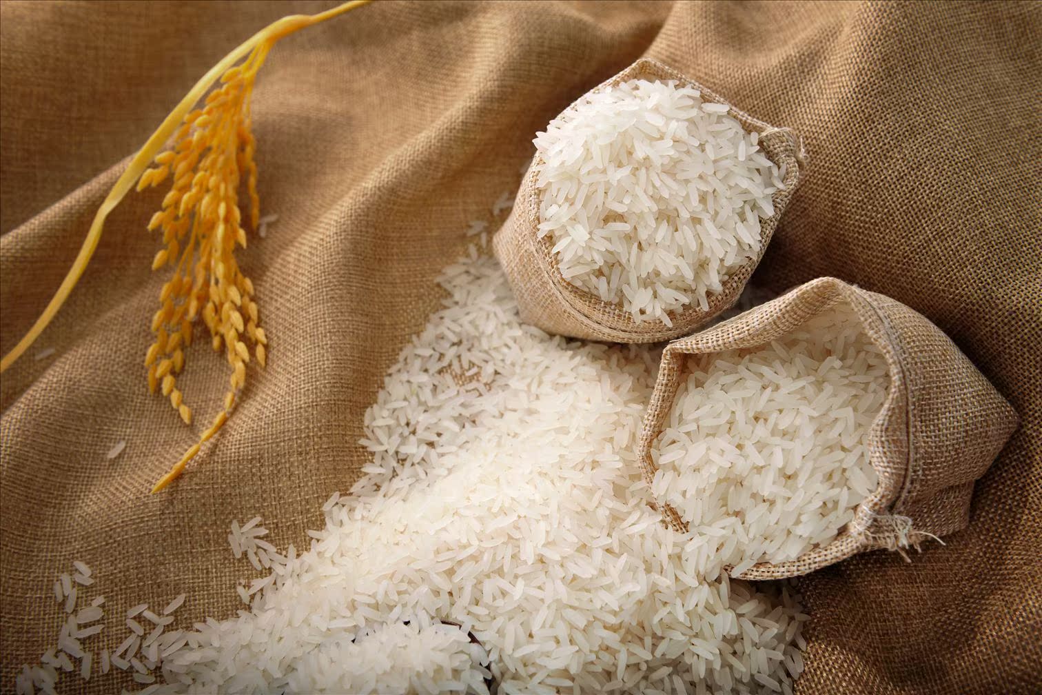 【厂家直销】一级大米 进口老挝贡米1kg真空包装 缅禾有机大米