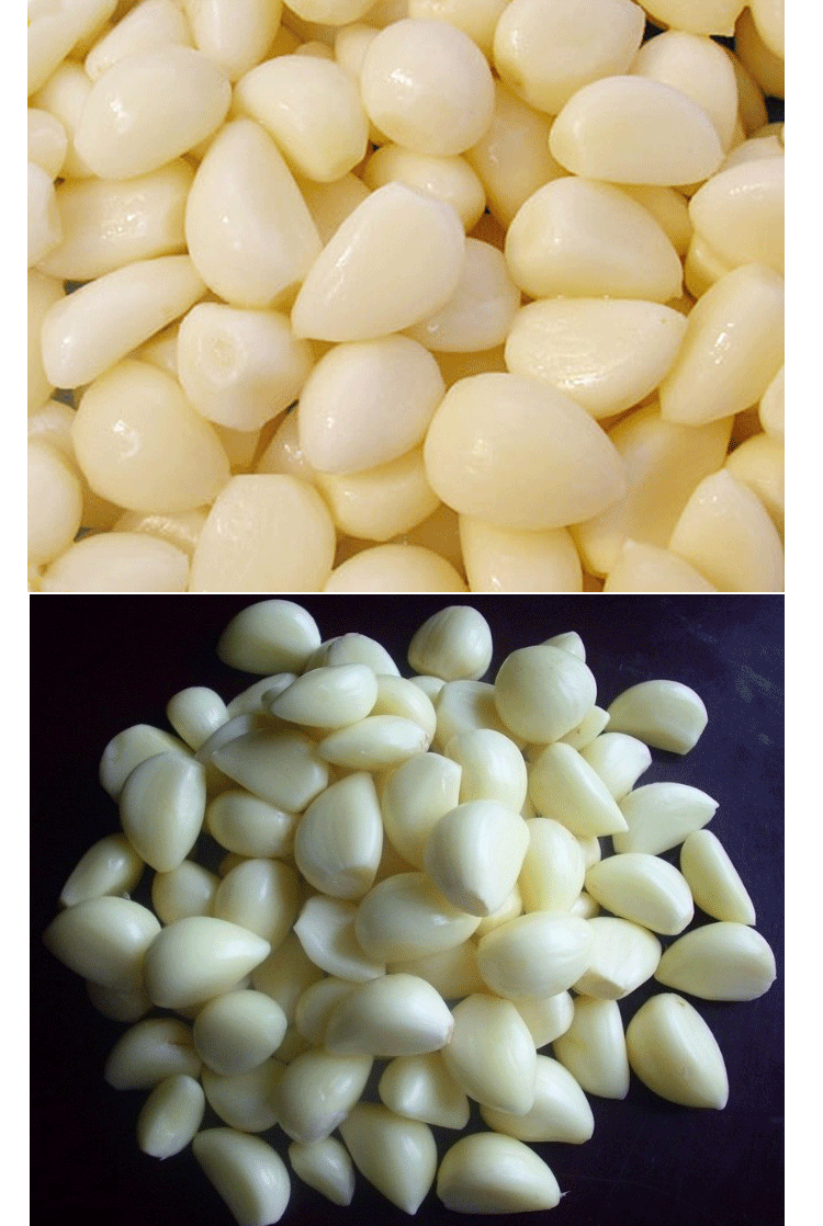 专业现货供应原生态去皮蒜瓣